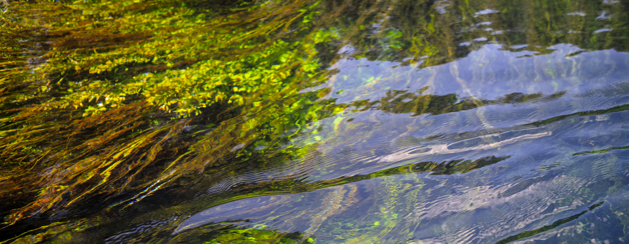 Environmental