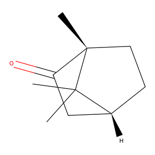 D-Camphor