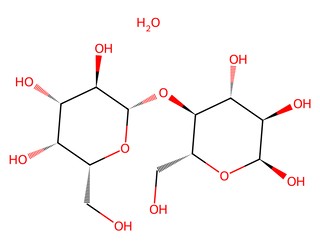 Lactose Monohydrate